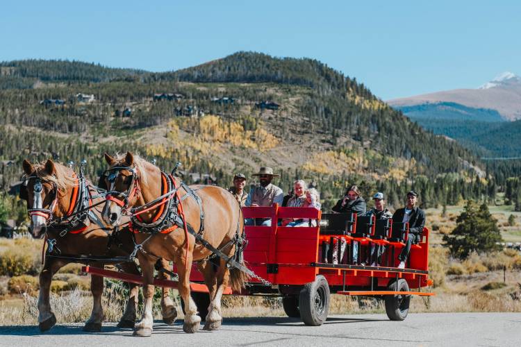 a horse pulling a wagon with people through a pumpkin patch in the fall